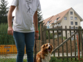 P1080550